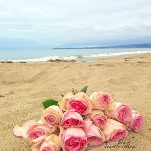 Meet your Posher, Ariel